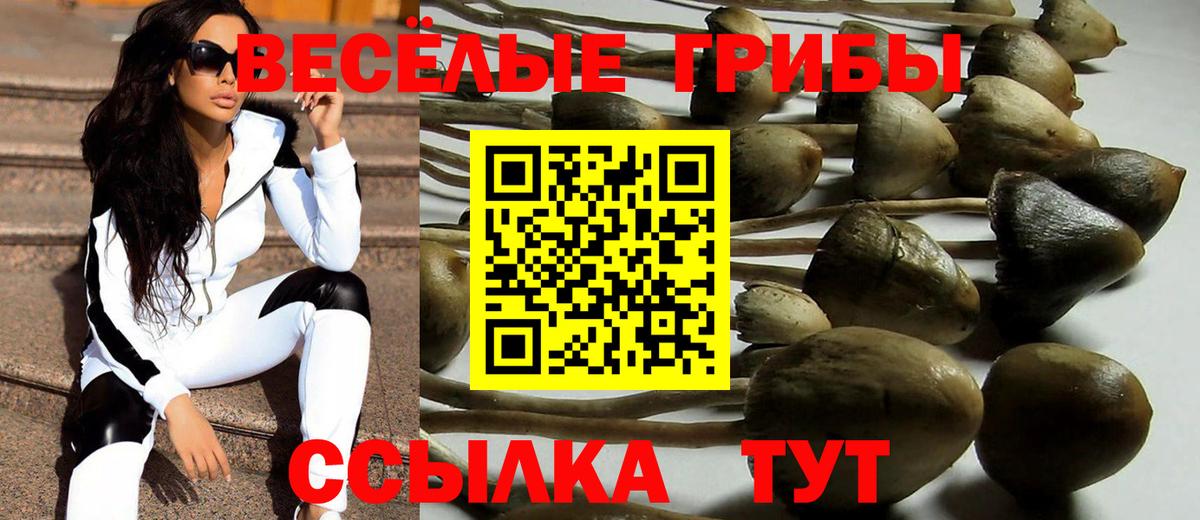 Галлюциногенные грибы ЛСД Гагарин