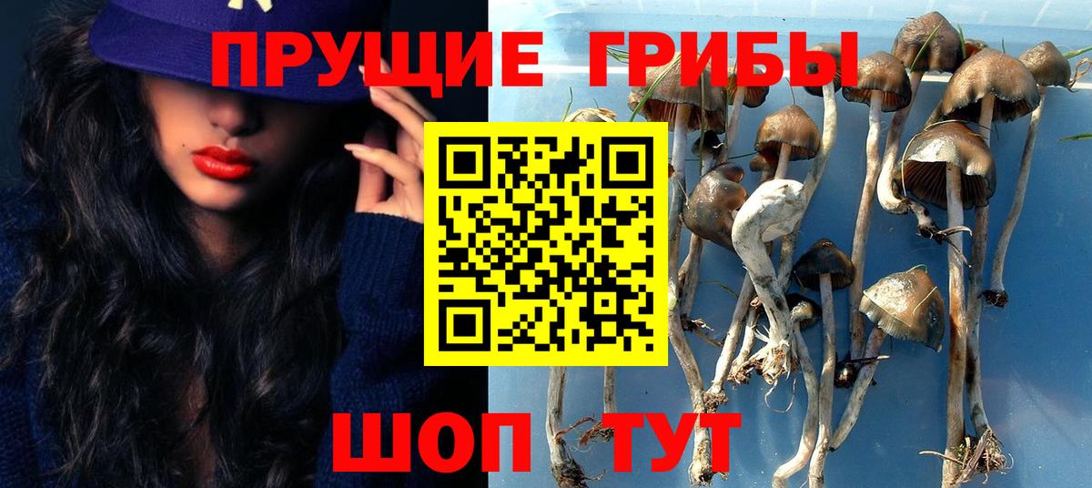 Гагарин  Псилоцибиновые грибы MAGIC MUSHROOMS  цены наркотик  Галлюциногенные грибы Psilocybe  Вход с VPN 